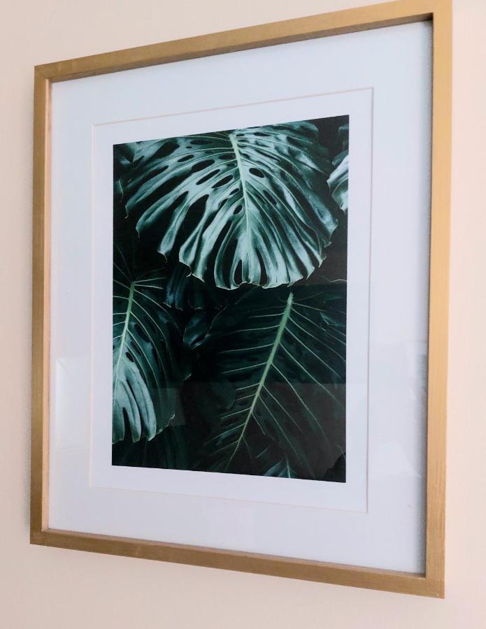 Les Belles Terrasses Dieppe ,3 Appartements , Le Vegetal De 1 A 8 Personnes , Le Tropical De 1 A 6 Personnes , Le Floral Avec Terrasse De 1 A 3 Personnes , Quartier Calme Au Stationnement Gratuit A Cote De L'Avenue Verte エクステリア 写真