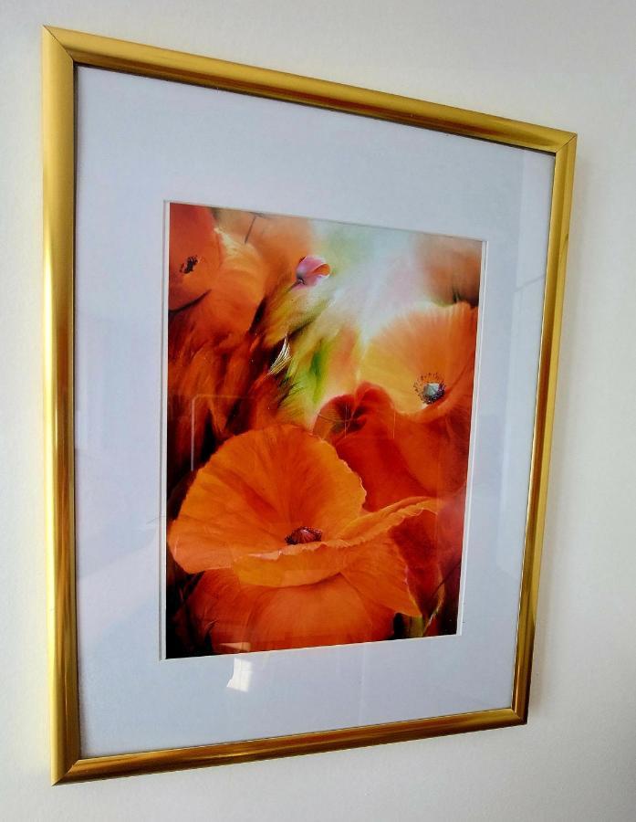Les Belles Terrasses Dieppe ,3 Appartements , Le Vegetal De 1 A 8 Personnes , Le Tropical De 1 A 6 Personnes , Le Floral Avec Terrasse De 1 A 3 Personnes , Quartier Calme Au Stationnement Gratuit A Cote De L'Avenue Verte エクステリア 写真